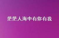 茫茫人海中有你有我53句汇总