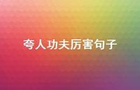 夸人功夫厉害句子(精选60句) 夸人功夫厉害句子(精选60句)
