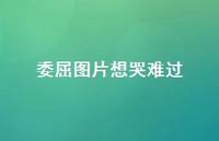 委屈图片想哭难过73句汇总 委屈图片想哭难过73句汇总