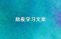 熬夜学习文案【100句精选短句合集】