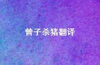 曾子杀猪翻译41句汇总 曾子杀猪翻译41句汇总