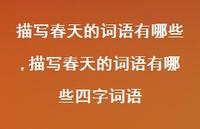 描写春天的词语有哪些四字词语【100句文案精选】 描写春天的词语有哪些四字词语【100句文案精选】