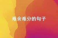 难舍难分的句子70句汇总 难舍难分的句子70句汇总