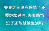 夫妻感情没了还能继续生活吗(100句)