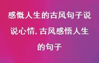 古风感悟人生的句子(100句)