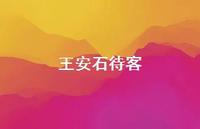 王安石待客73句汇总 王安石待客73句汇总