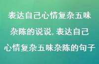 表达自己心情复杂五味杂陈的句子(100句) 表达自己心情复杂五味杂陈的句子(100句)