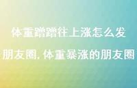 体重暴涨的朋友圈(100句) 体重暴涨的朋友圈(100句)