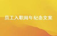 员工入职周年纪念文案【100句精选短句合集】