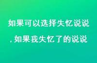 如果我失忆了的说说(100句) 如果我失忆了的说说(100句)