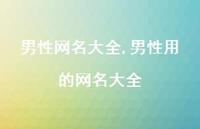 男性用的网名大全【精品文案100句】