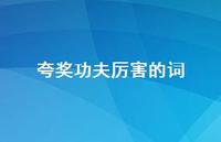夸奖功夫厉害的词(精选51句) 夸奖功夫厉害的词(精选51句)