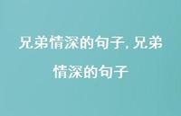 兄弟情深的句子【100句文案精选】