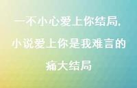 小说爱上你是我难言的痛大结局【100句文案精选】 小说爱上你是我难言的痛大结局【100句文案精选】