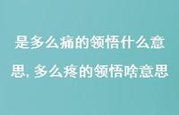 多么疼的领悟啥意思(94句) 多么疼的领悟啥意思(94句)