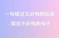 错过不后悔的句子【100句文案】 错过不后悔的句子【100句文案】