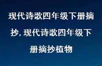 现代诗歌四年级下册摘抄植物【100句文案精选】 现代诗歌四年级下册摘抄植物【100句文案精选】