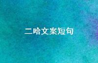 二哈文案短句【100句精选短句合集】