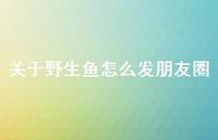 关于野生鱼怎么发朋友圈【100句精选短句合集】
