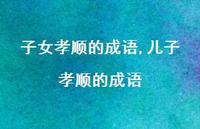 儿子孝顺的成语【100句文案】