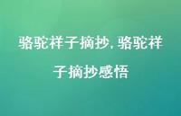 骆驼祥子摘抄感悟【100句文案精选】 骆驼祥子摘抄感悟【100句文案精选】