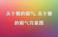 关于狼的霸气背景图【100句文案】 关于狼的霸气背景图【100句文案】