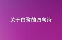 关于白鹭的四句诗(精选51句) 关于白鹭的四句诗(精选51句)