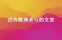 适合微博养号的文案75句汇总 适合微博养号的文案75句汇总