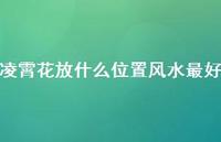 凌霄花放什么位置风水较好(精选64句) 凌霄花放什么位置风水较好(精选64句)