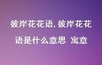 彼岸花花语是什么意思 寓意【100句文案精选】