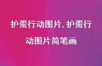 护蛋行动图片简笔画【精品文案100句】