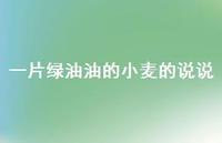 一片绿油油的小麦的说说【100句精选短句合集】 一片绿油油的小麦的说说【100句精选短句合集】
