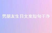 男朋友生日文案短句干净57句汇总