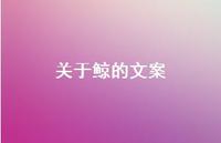 关于鲸的文案【100句精选短句合集】