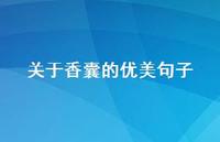 关于香囊的优美句子【100句精选短句合集】