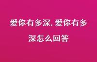 爱你有多深怎么回答【精品文案100句】