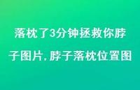 脖子落枕位置图(100句)