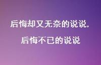 后悔不已的说说【100句文案】 后悔不已的说说【100句文案】
