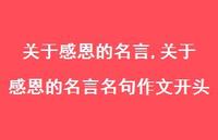 关于感恩的名言名句作文开头【100句文案精选】