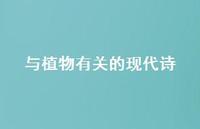 与植物有关的现代诗42句汇总 与植物有关的现代诗42句汇总