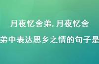 月夜忆舍弟中表达思乡之情的句子是【100句文案精选】 月夜忆舍弟中表达思乡之情的句子是【100句文案精选】