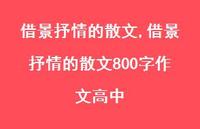 借景抒情的散文800字作文高中【100句文案精选】