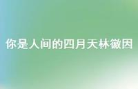 你是人间的四月天林徽因66句汇总 你是人间的四月天林徽因66句汇总