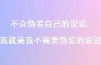 我就是我不需要伪装的说说(100句) 我就是我不需要伪装的说说(100句)