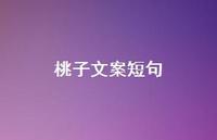 桃子文案短句【100句精选短句合集】 桃子文案短句【100句精选短句合集】