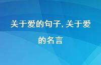 关于爱的名言【精品文案100句】
