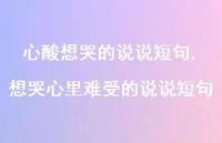 想哭心里难受的说说短句【100句文案】 想哭心里难受的说说短句【100句文案】