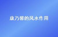 康乃馨的风水作用(精选41句)