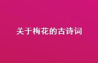 关于梅花的古诗词41句汇总