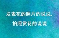 拍照赏花的说说(100句) 拍照赏花的说说(100句)